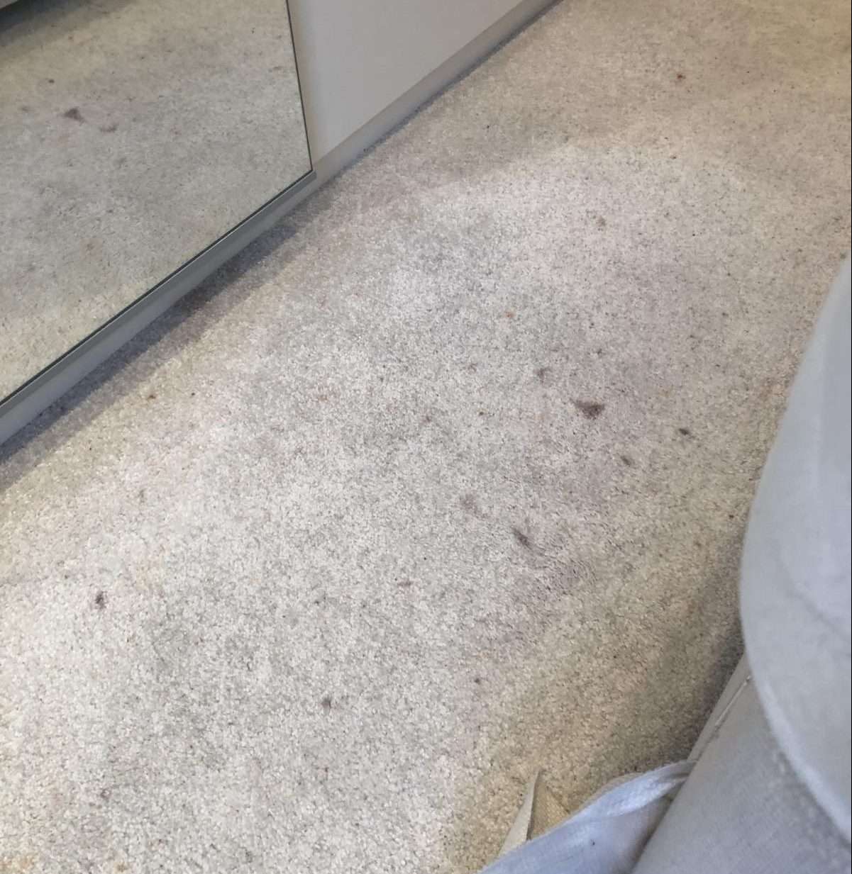 Stained Carpet Putney