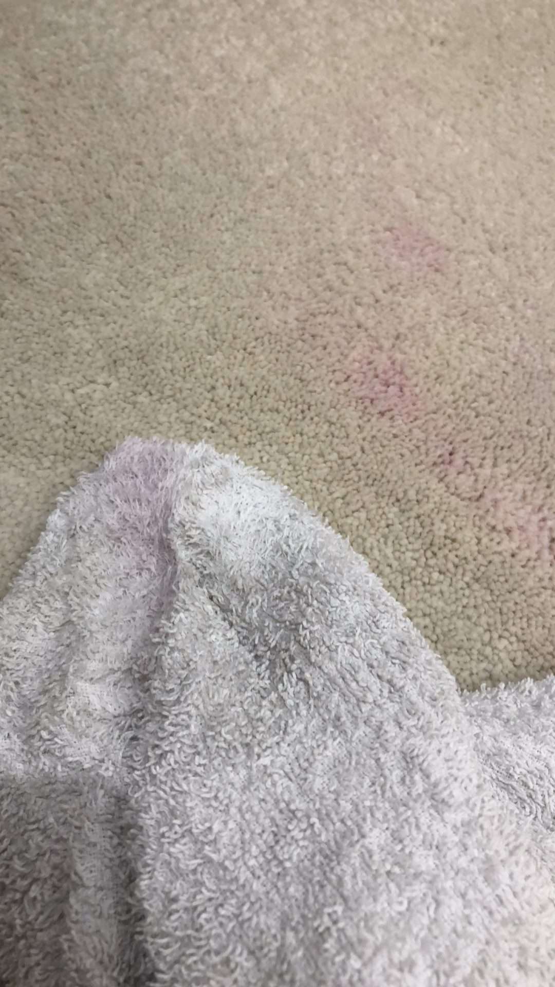 MakeUpStainsOnCarpet