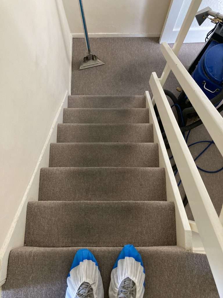 Stairs Carpet Cleaning Before
