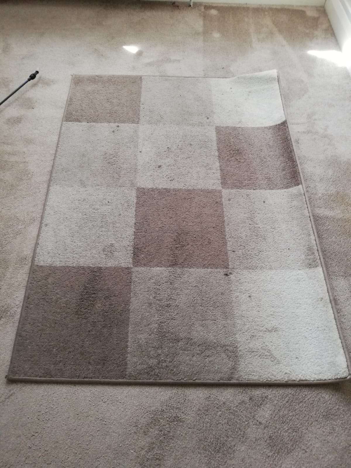 Drop Off Rug Cleaning Before