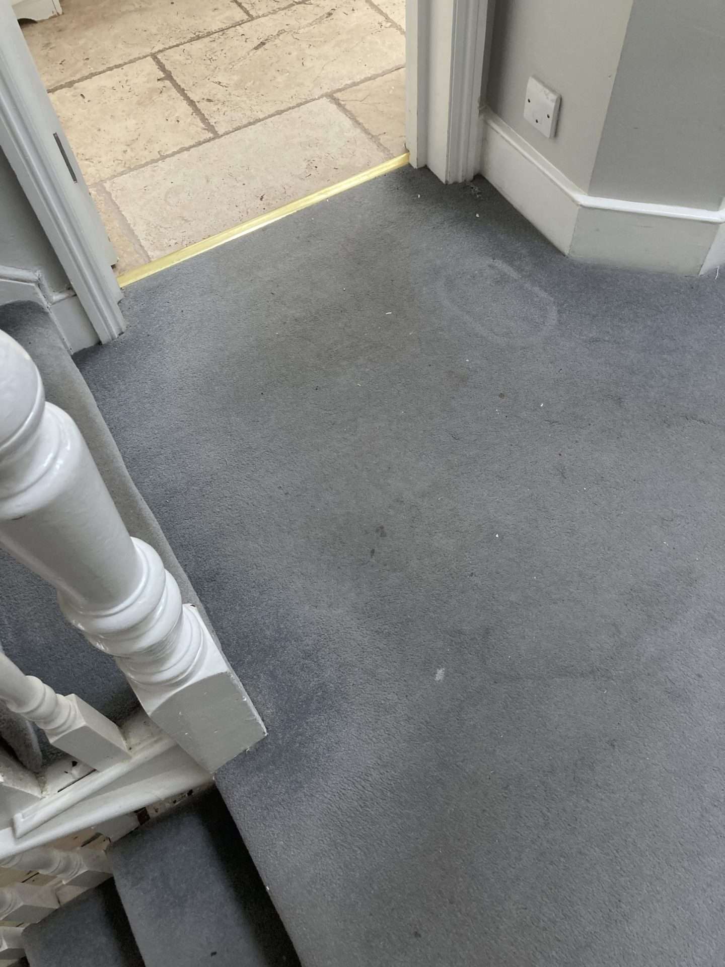 GreyCarpetCleaning1