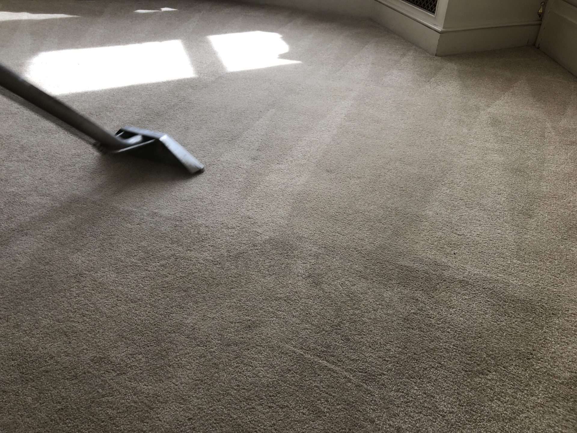 Carpet Vacuuming