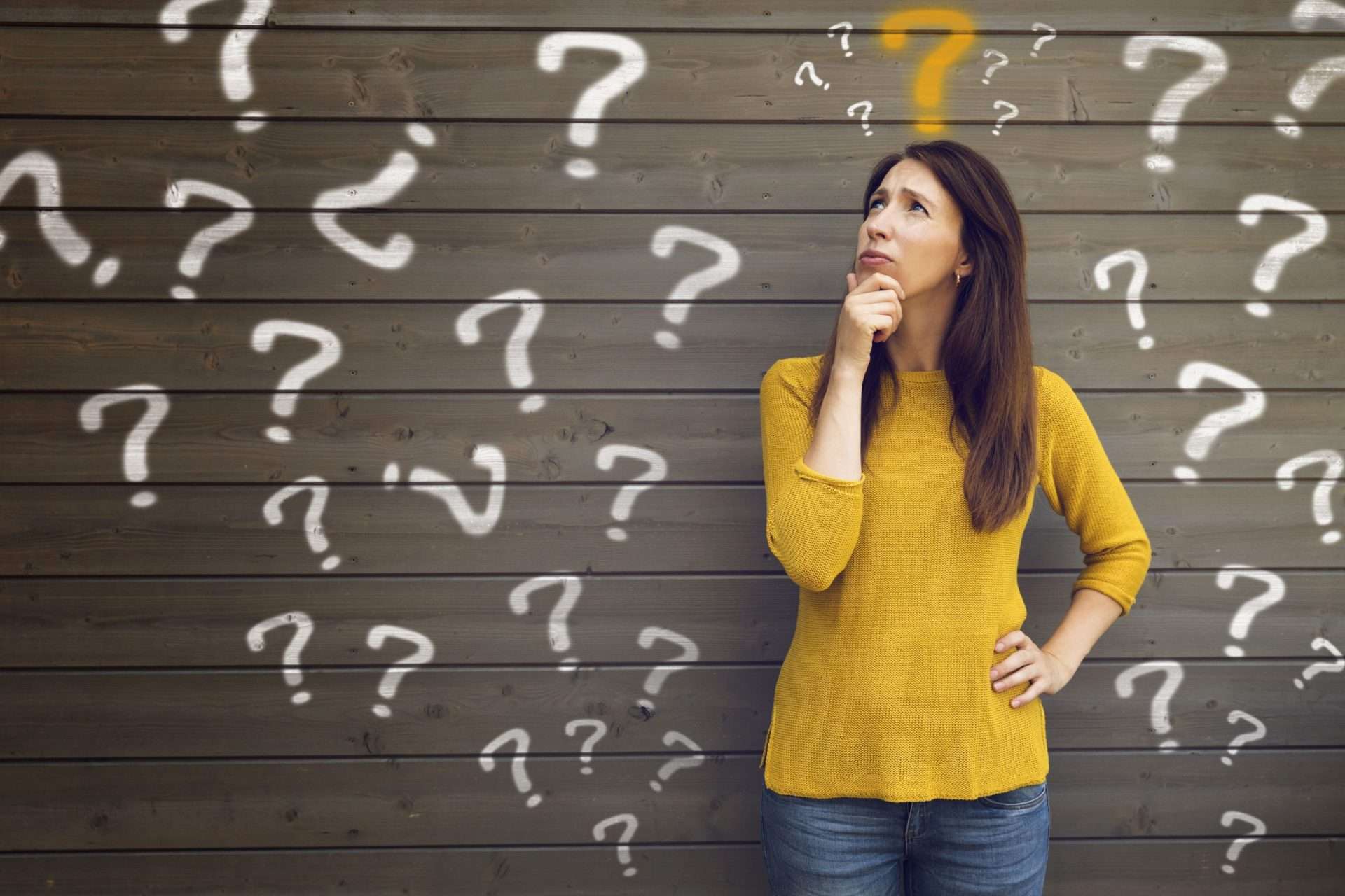 what to look for when choosing a carpet cleaner