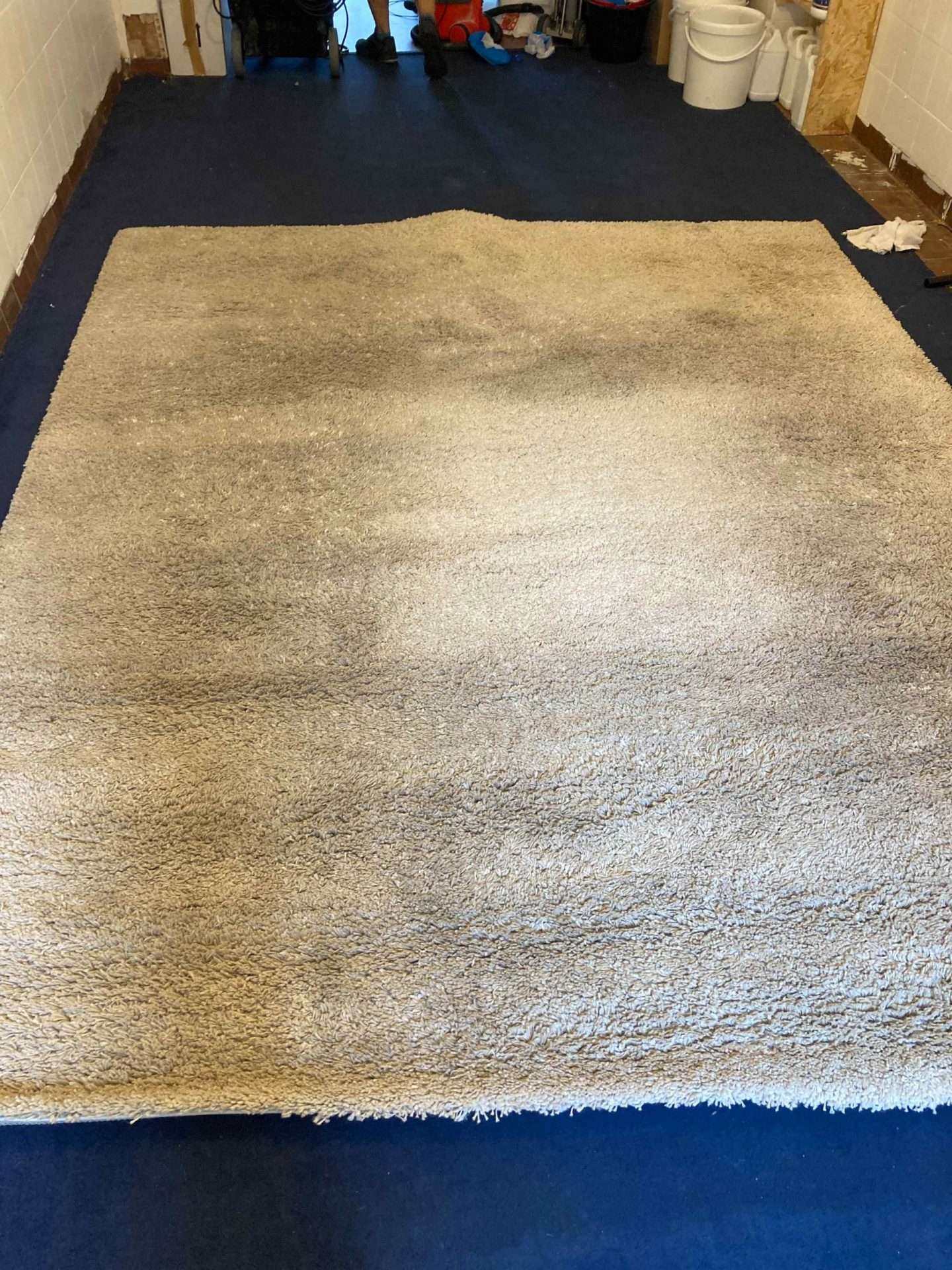 dirty rug Putney SW15