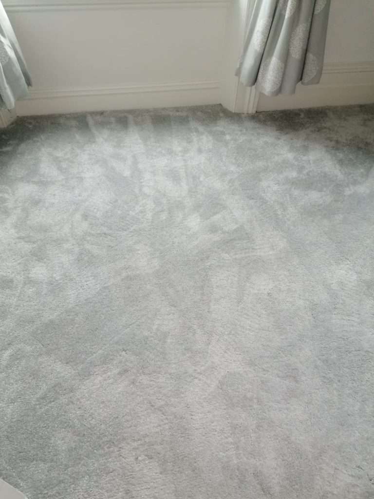 carpet after cleaning in Battersea