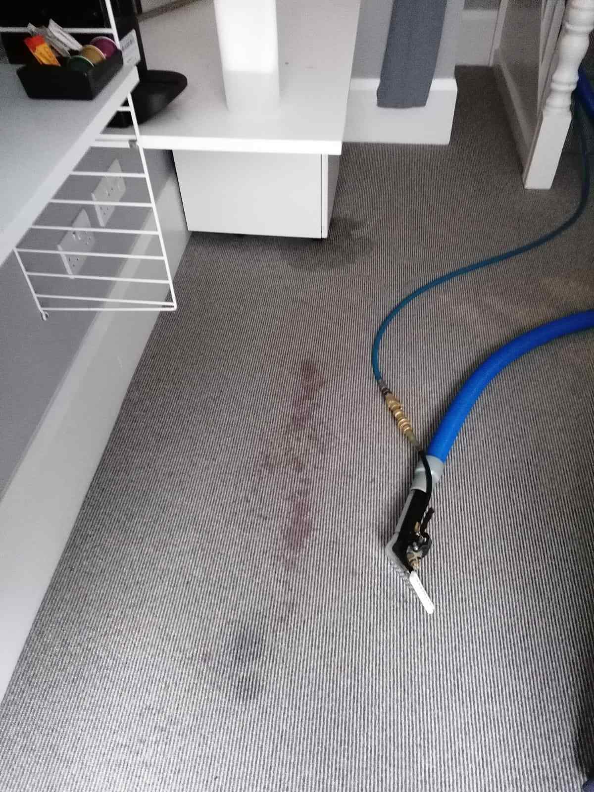 red wine on carpet in Wandsworth hotek